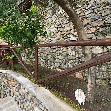 U' Spigu Nonna Annetta Bauernhof *