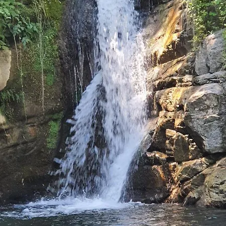 U' Spigu Nonna Annetta