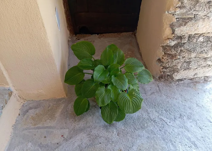 Gospodarstwo agroturystyczne U' Spigu Nonna Annetta Nasino